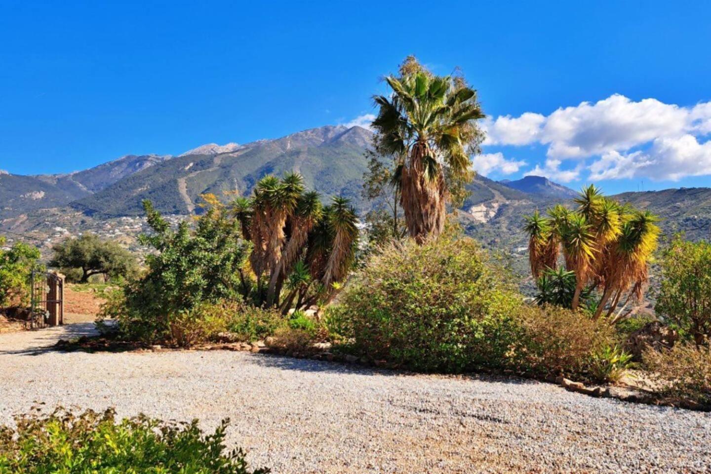 La Perla Andaluza Villa Alcaucín Eksteriør bilde